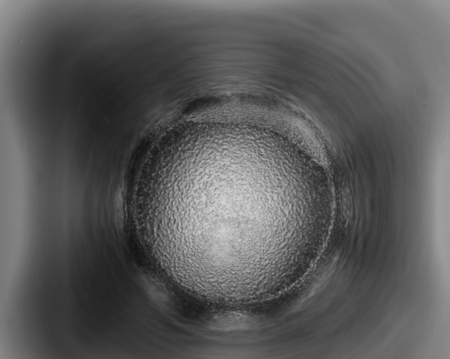 X0000087690594200705111322