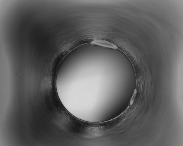 X0000087690595200705111322