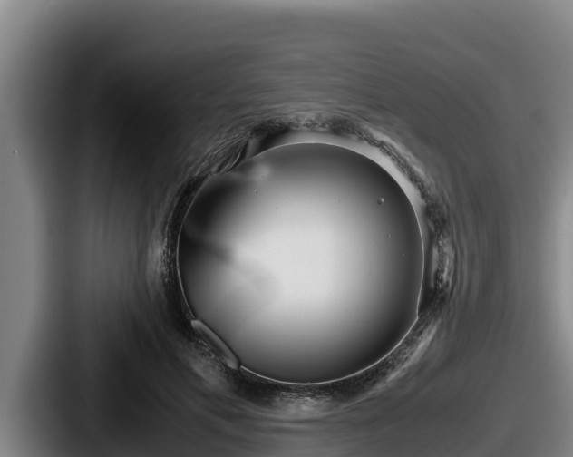 X0000087690597200705111322