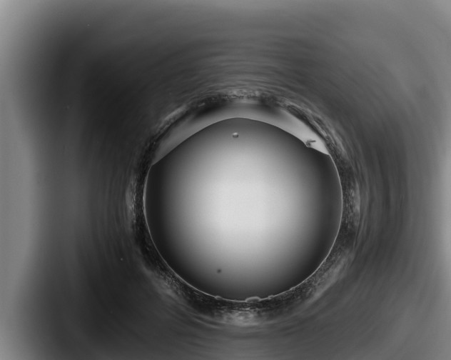 X0000087690600200705111322