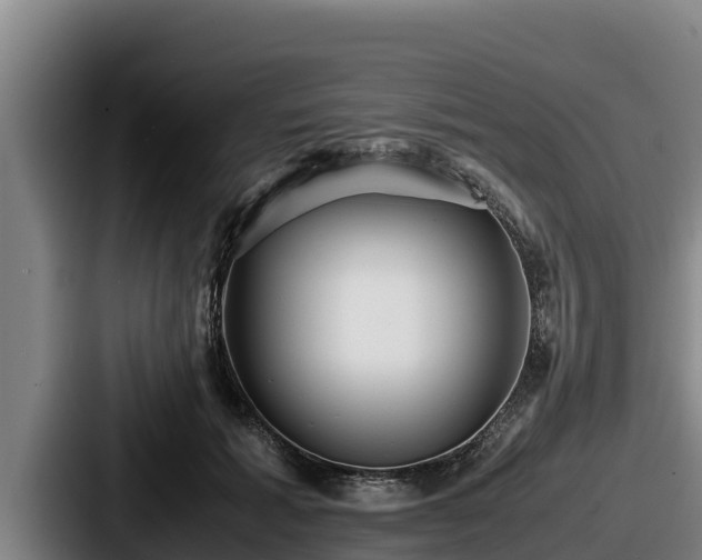X0000087690605200705111322