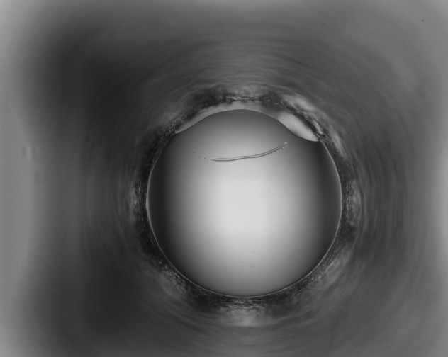 X0000087690608200705111322
