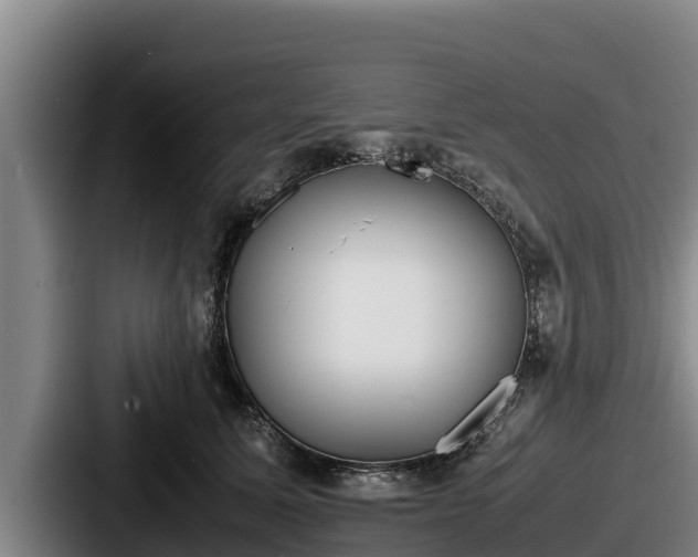 X0000087690611200705111322