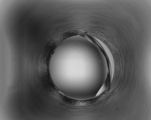 X0000087690613200705111322