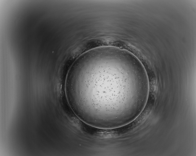 X0000087690615200705111322