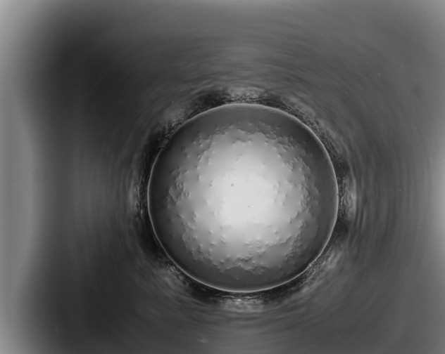 X0000087690619200705111322