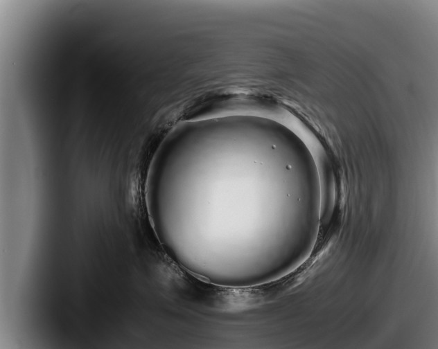 X0000087690623200705111322