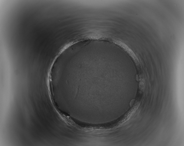 X0000087690626200705111321
