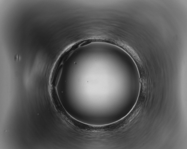 X0000087690628200705111321