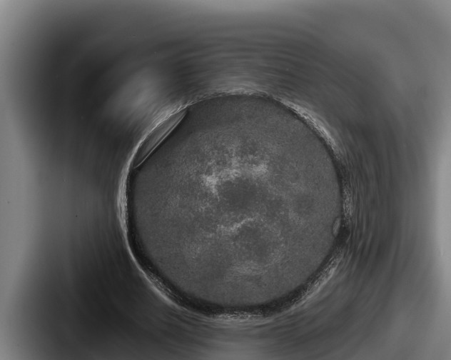 X0000087690630200705111321