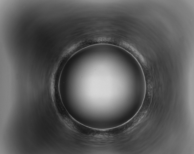 X0000087690631200705111321