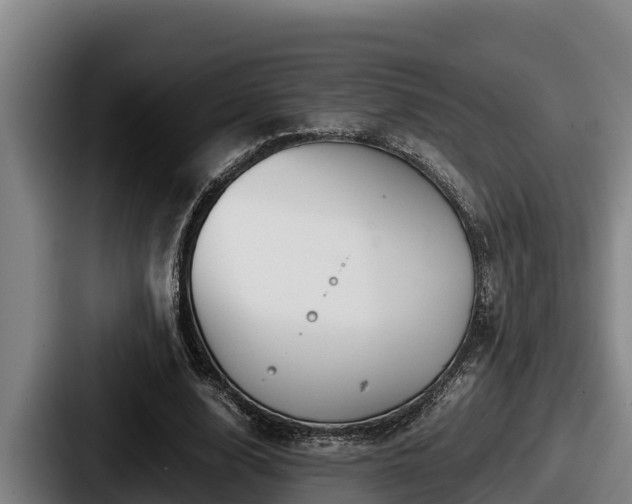 X0000087690632200705111321