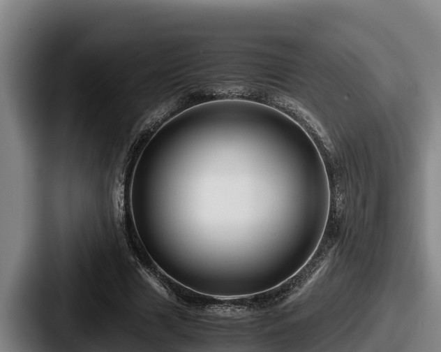 X0000087690633200705111321