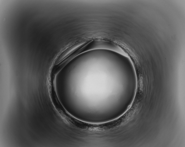 X0000087690634200705111321