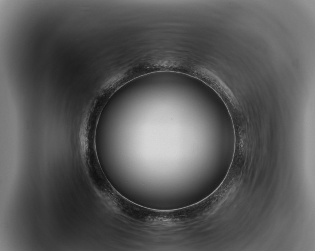 X0000087690635200705111321