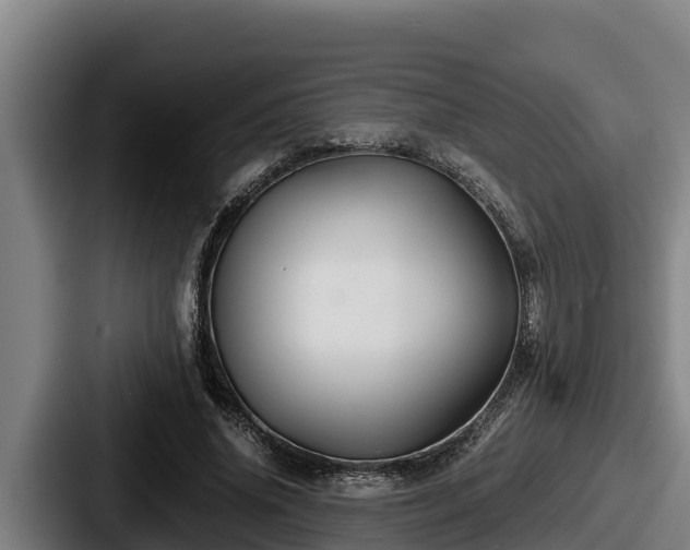 X0000087690636200705111321
