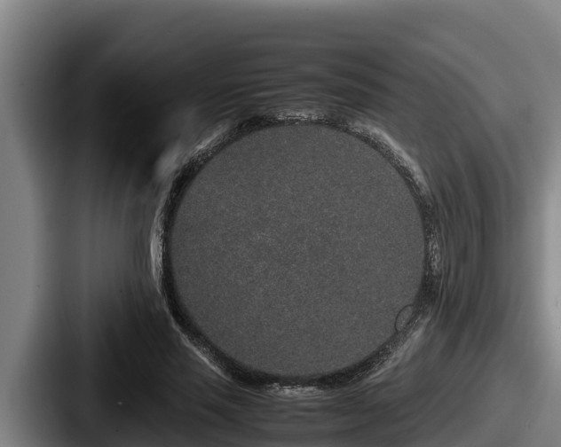 X0000087690637200705111321
