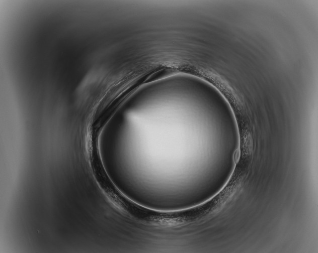 X0000087690638200705111321