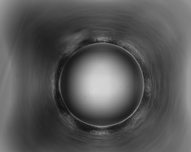 X0000087690639200705111321