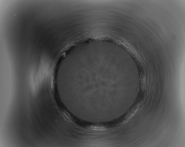 X0000087690644200705111321