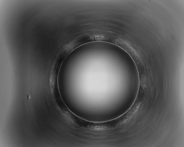 X0000087690645200705111321