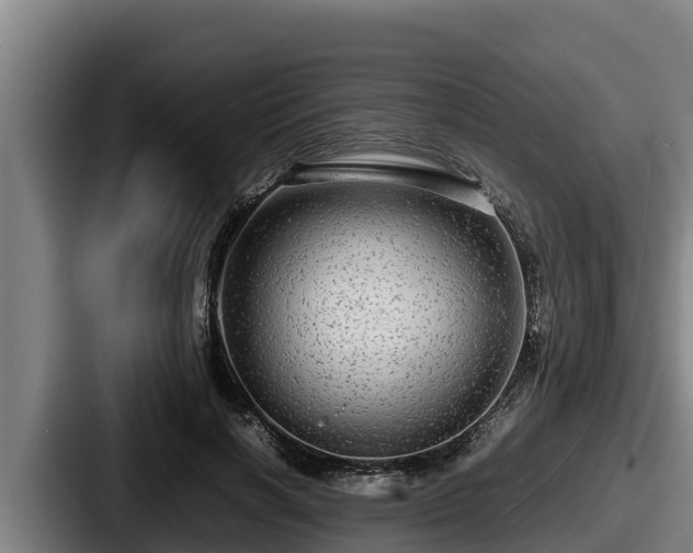 X0000087690646200705111321
