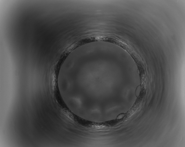X0000087690650200705111321