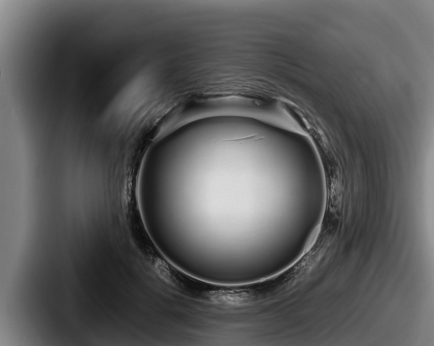 X0000087690652200705111321