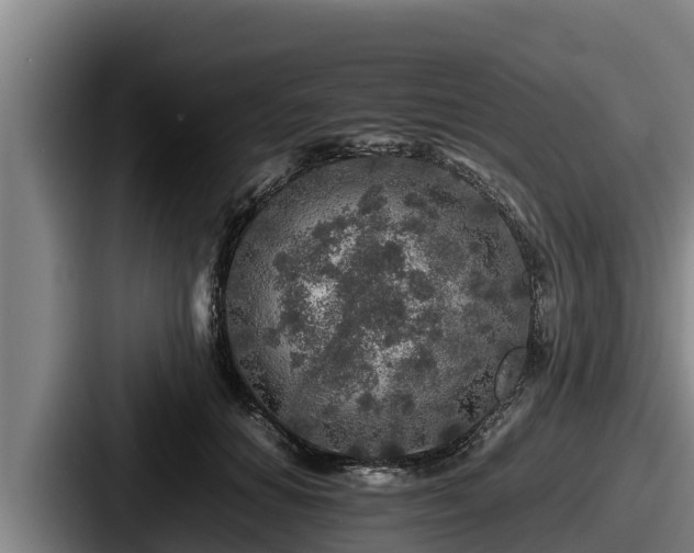 X0000087690654200705111321