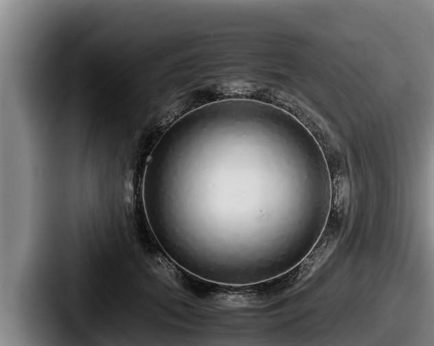 X0000087690655200705111321