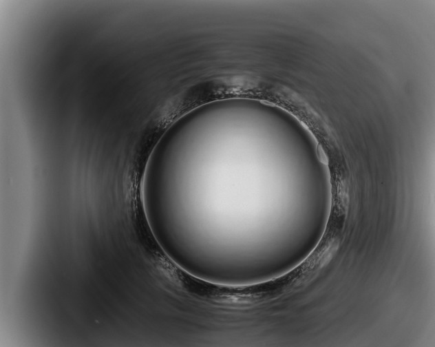 X0000087690657200705111321