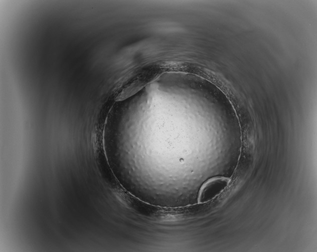X0000087690658200705111321