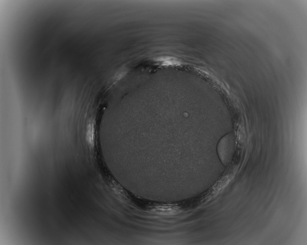 X0000087690659200705111321