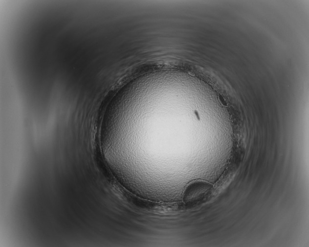 X0000087690660200705111321