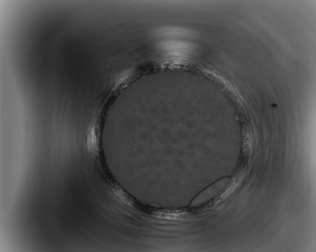 X0000087690661200705111321