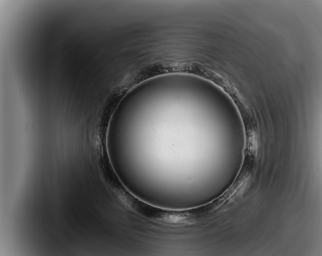 X0000087690662200705111322