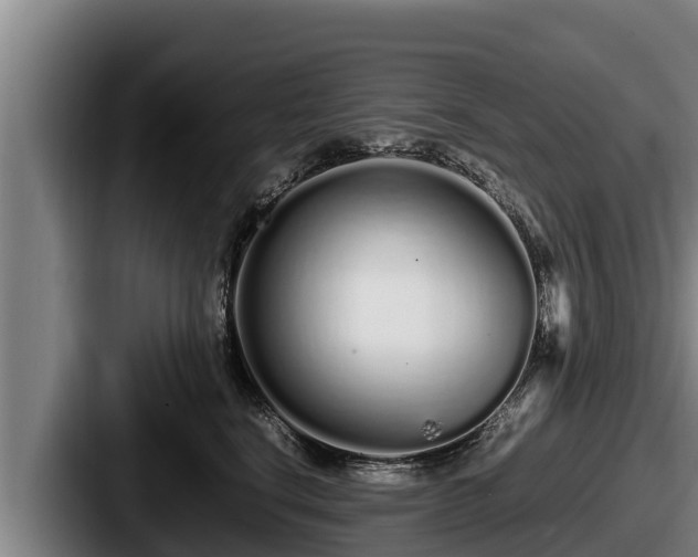 X0000087690664200705111322