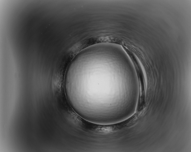 X0000087690665200705111322