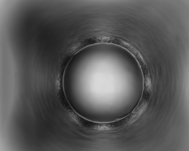 X0000087690668200705111322