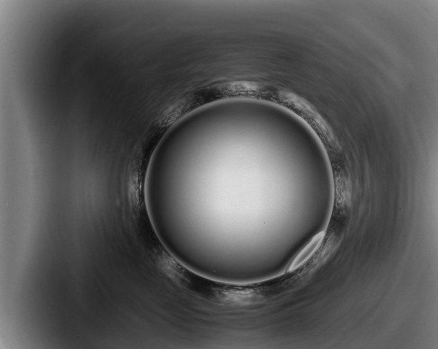 X0000087690669200705111322