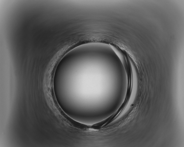 X0000087690673200705111321