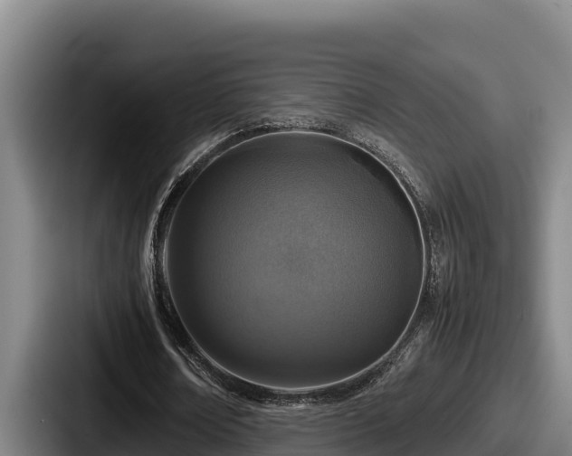 X0000087690674200705111321