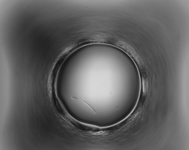 X0000087690675200705111321