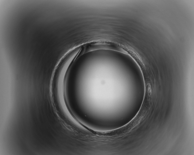 X0000087690676200705111321