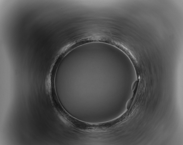 X0000087690678200705111321