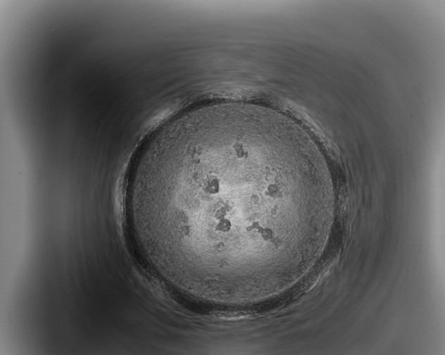 X0000087690679200705111321