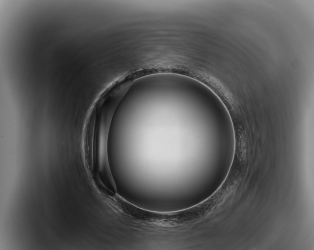 X0000087690680200705111321