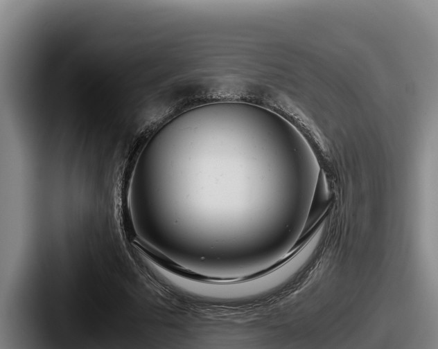 X0000087690681200705111321