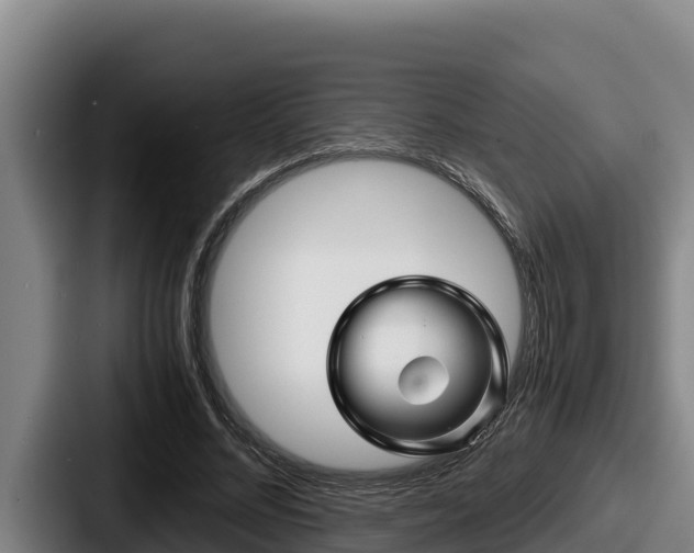 X0000087690684200705111321