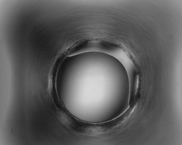 X0000087690685200705111321